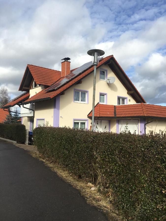 Haus Zeichner 4 Zimmer Ferienwohnung Feldberg  Exterior foto