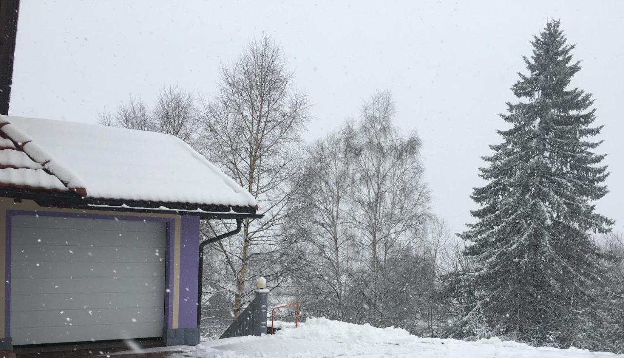 Haus Zeichner 4 Zimmer Ferienwohnung Feldberg  Exterior foto