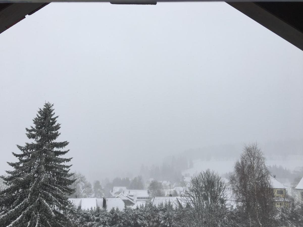 Haus Zeichner 4 Zimmer Ferienwohnung Feldberg  Exterior foto