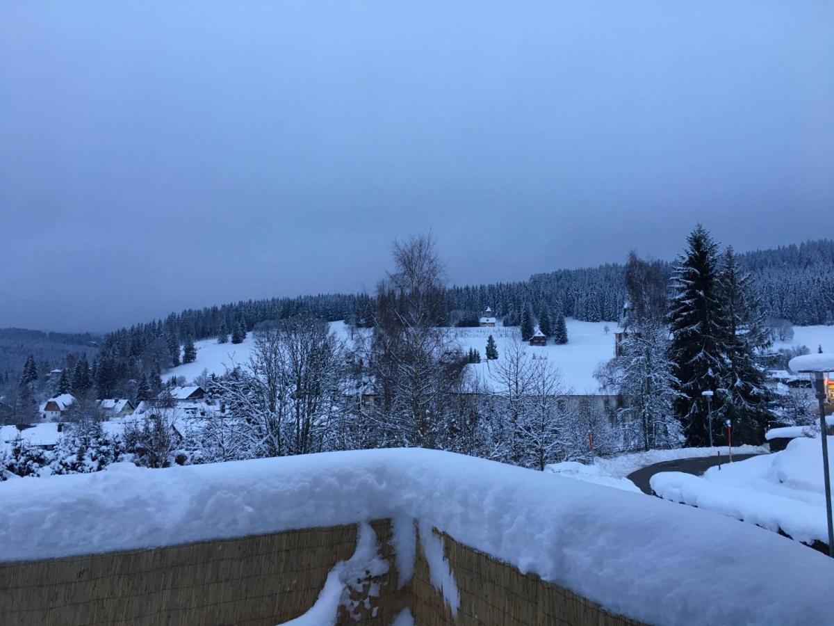 Haus Zeichner 4 Zimmer Ferienwohnung Feldberg  Exterior foto